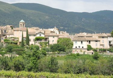 Trail Walking Cadenet - PF-Cadenet - De Cadenet à Lourmarin - 1 - Photo