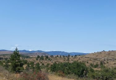 Tocht Stappen Blandas - Causse de Blandas et Vallée de la Vis - Photo