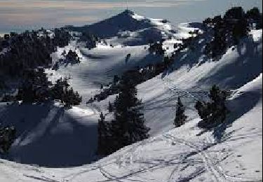 Excursión Marcha nórdica Lélex - randonnée cret de la neige  - Photo