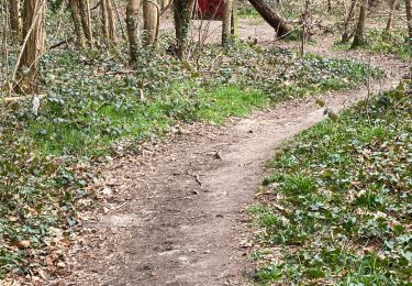 Trail sport Yerres - Parking Léo Lagrange 12kms - Photo
