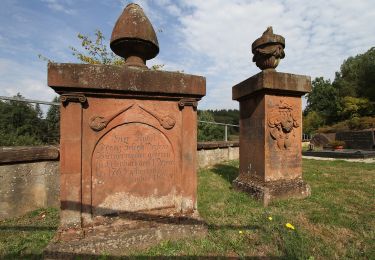 Randonnée A pied Vorderweidenthal - Keeseckweg - Photo