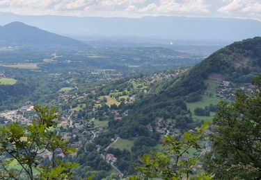 Trail Walking Viuz-en-Sallaz - Boisinges - Crêtes de Vouan_25.07.2021 - Photo