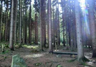 Tour Zu Fuß Gefrees - Gefrees Rundwanderweg Nr. 3 - Photo