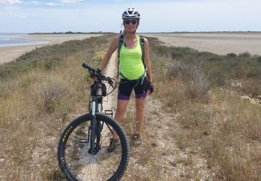 Trail Electric bike Arles - CAMARGUE SALINS BEAUDUC - Photo
