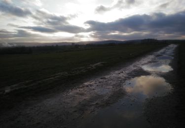 Tour Mountainbike Wirten - A la frontière de Sommethonne II  -  Balade_VTT_20kms - Photo