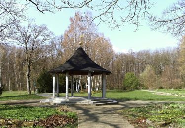 Excursión A pie Zittau - LG-Grüner Strich - Photo