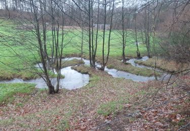 Tocht Stappen Verviers - mariomont - la gileppe aller via 