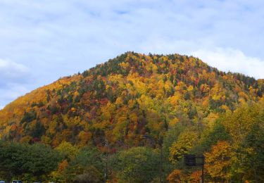 Trail On foot Minami Ward - 札幌岳冷水ルート - Photo