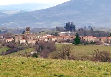 Trail Walking Tours-sur-Meymont - Tours_Meymont_Gorges_Dore - Photo