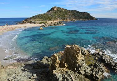 Trail Walking Ramatuelle - Bonne Terrasse - Cap Camarat - Plage de l'Escalet - Pointe de la Douane - Cap Lardier - Pointe de Brouis - Plage de Gigaro - Photo