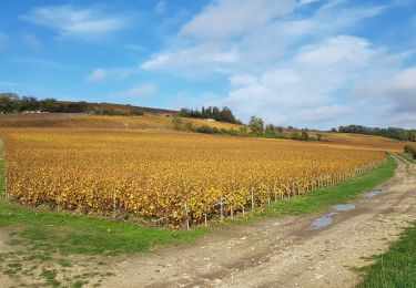Trail Walking Château-Thierry - Château-Thierry - la Côte 204 - Photo