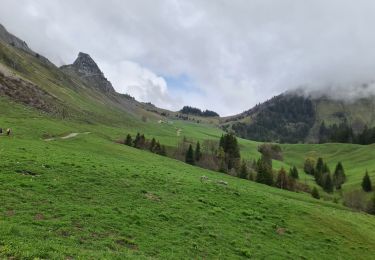 Percorso Marcia Jarsy - COL D'ORGEVAL - Photo
