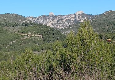 Tocht Stappen Allauch - Massif de l'Etoile, pilon du Roi, 05-02-2025 - Photo