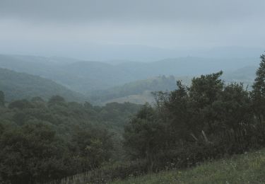 Excursión A pie  - Sichevița – Ravensca (blue path) - Photo