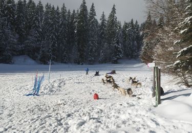 Trail Snowshoes Villard-de-Lans - meaudre le bas - Photo