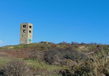 Trail Walking Saint-Pierre-Quiberon - PR_56_St-Pierre-Quiberon_BA_02_Entre-Baie-Et-Ocean_Circuit4a_20240303 - Photo