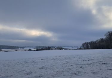 Excursión Senderismo Havelange - Méan sous la neige  - Photo