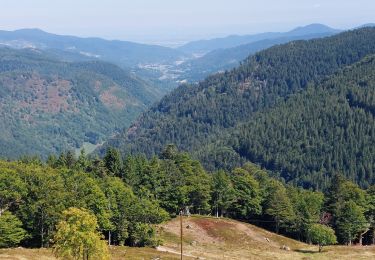 Tour Wandern Mittlach - Mittlach Crête Steiwasen - Photo
