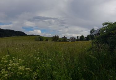 Tour Wandern Nanchez - Prénom électronique du chalet à la tourbière  - Photo