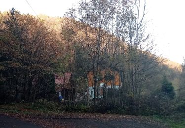 Tour Zu Fuß Wertheim - Liebliches Taubertal – Ehemaliger Rundwanderweg 3 – Wein und Glaube - Photo