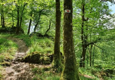 Tour Zu Fuß Bouillon - SityTrail - Détails 23 Rocher Lecomte  - Photo