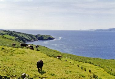 Excursión A pie West Cork - Gortnakilly Loop - Photo