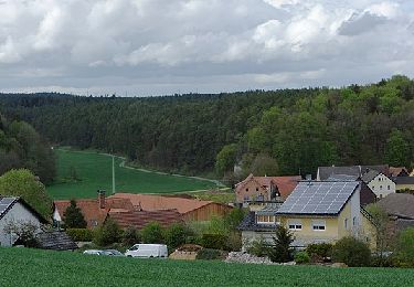 Tocht Te voet Königsfeld - Kapellenweg Königsfeld - Blaue Route - Photo