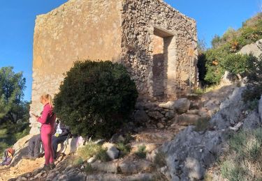 Tocht Stappen Ollioules - tel de Chappe - Photo