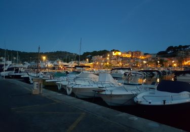 Tocht Stappen Sóller - port de Soller - Photo