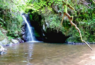 Tocht Stappen Enval - Enval_Gorges - Photo