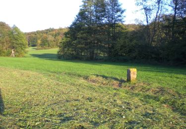 Tour Zu Fuß Gersheim - Nordic-Walking-Weg 6 - Photo