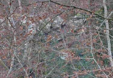 Randonnée Marche Fontainebleau - belle Croix  - Photo