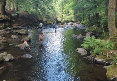 Tour Wandern Gerdsee - 13/07/25 cascade des cuves  - Photo