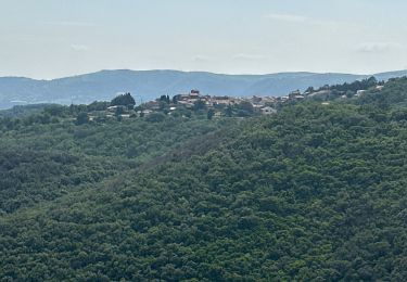 Trail sport Saint-Privat - Grand mont Soumont Le Bosc  - Photo
