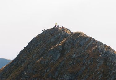 Tocht Te voet  - Nucșoara - Curmătura Maliței - Vf. Moldoveanu - Photo