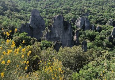 Trail Walking Signes - les aiguilles de Valbelle par le haras du latay - Photo