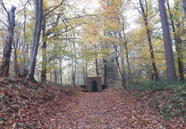 Tocht Stappen Esneux - amostrenne, les crêtes . limon. hestreux . targnon . retour  - Photo