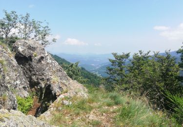 Trail Walking Gemaingoutte - col Sainte Marie aux mines - Photo