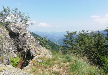 Excursión Senderismo Gemaingoutte - col Sainte Marie aux mines - Photo