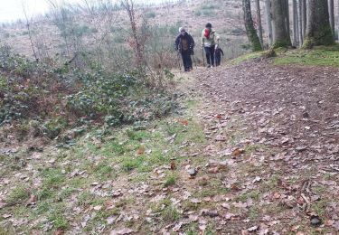 Tocht Noords wandelen Stoumont - andrimont_borgoumont12_02_2023 - Photo