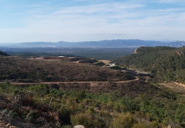 Trail Nordic walking Puget-sur-Argens - lieutenante - Photo