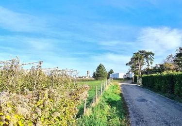 Tocht Te voet Saint-Genis-Laval - Les Collonges - Malataverne - Beaunant - Photo