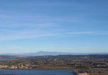 Tour Wandern Beaucaire - Beaucaire/ St Roman - Photo