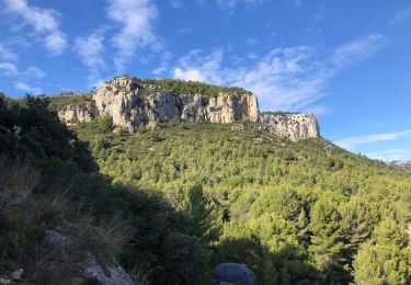 Percorso Marcia Le Revest-les-Eaux - Le Mont Caume  - Photo