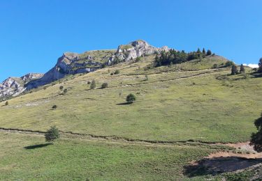 Excursión Senderismo Châtel-en-Trièves - Arête de Rattier depuis le col de la brêche - Photo