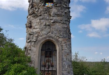 Randonnée Marche Arbonne-la-Forêt - sainte  vierge 1 juin19 - Photo