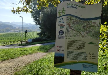 Excursión Senderismo Cambo-les-Bains - CAMBO la colline de la bergerie  - Photo