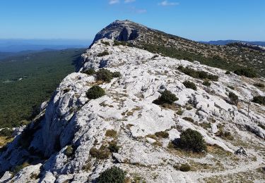 Trail Walking Plan-d'Aups-Sainte-Baume - le Saint pilon par le pas de la Cabre - Photo