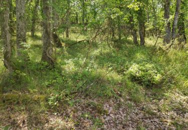 Trail Mountain bike Saint-Cirq-Lapopie - 20190728_vélo_avec_Thomas - Photo