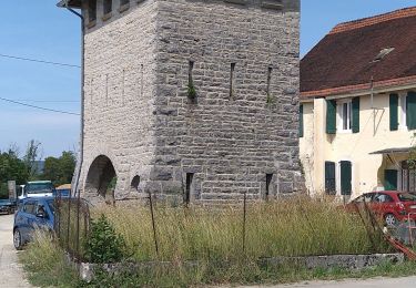 Tocht Stappen Largillay-Marsonnay - Marsonnay Pont de Poitte  - Photo